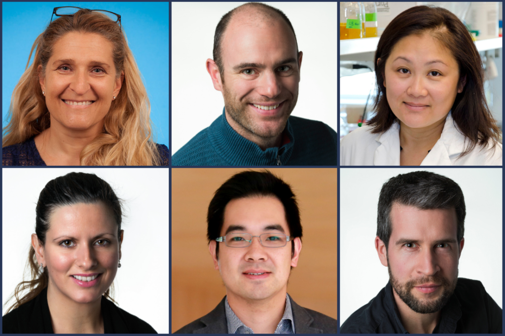 The researchers pictured above will be working on projects supported by the CRAFT Project Awards. Clockwise, starting from top-left hand corner: Claudia dos Santos (U of T), Keith Morton (NRC), Amy Wong (U of T), Daniel Brassard (NRC), Edmond Young (U of T) and Lidija Malic (NRC).